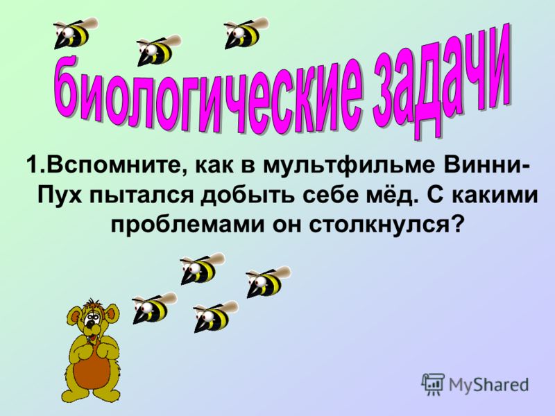 1.Вспомните, как в мультфильме Винни- Пух пытался добыть себе мёд. С какими проблемами он столкнулся?