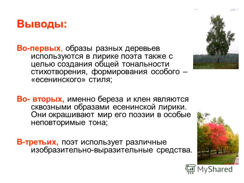 Образ русской природы в произведениях