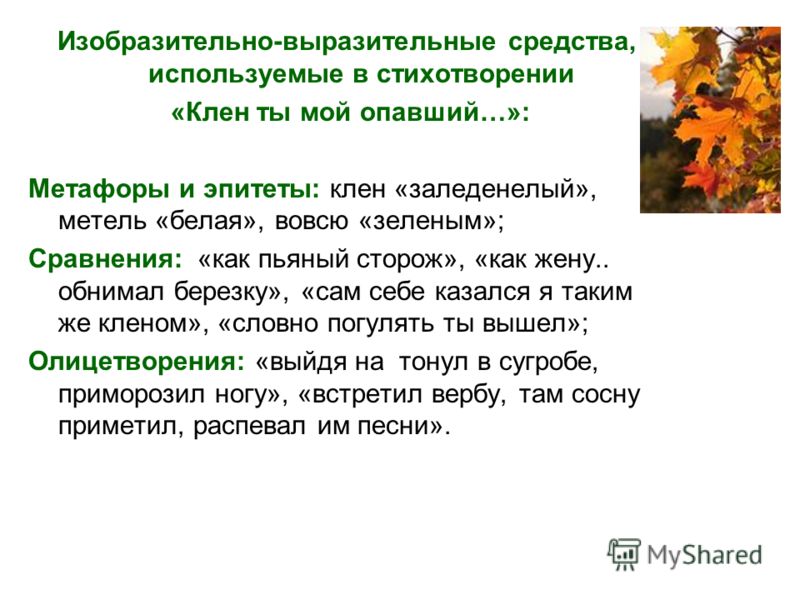Шаламов проза анализ Шаламов проза анализ