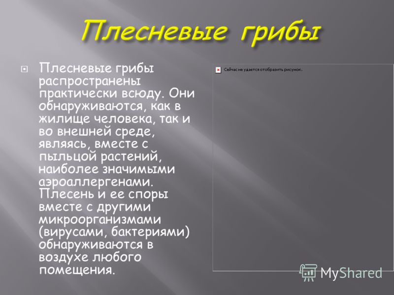 роль паразитов в природе и жизни человека роль паразитов в природе и жизни человека