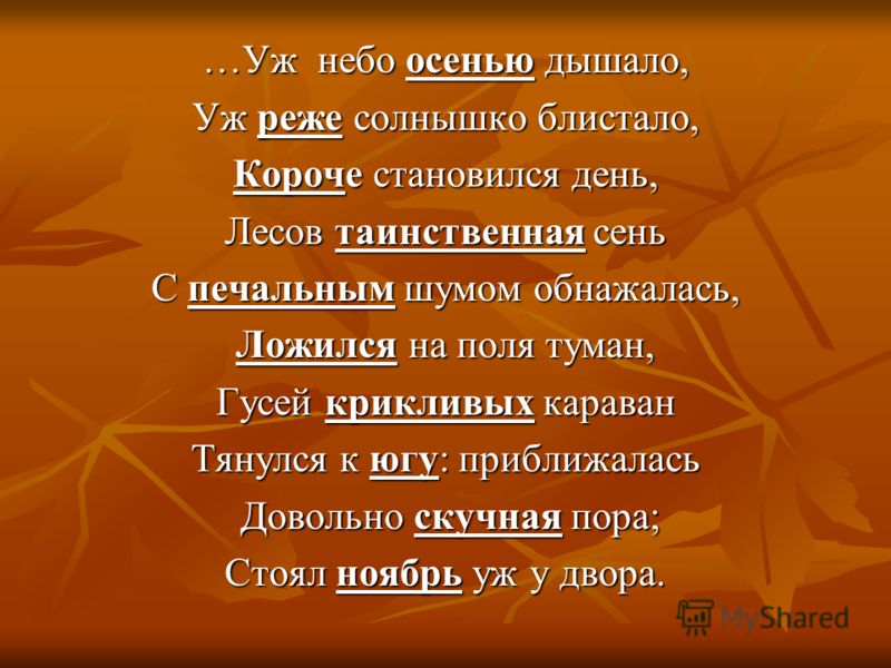 «А. С. Пушкин Лирические стихотворения»