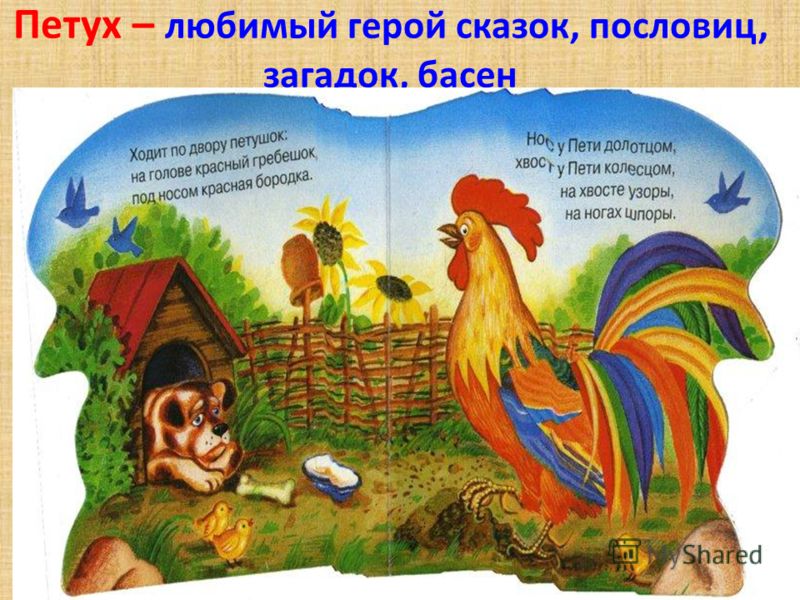 Пословицы о петухе и собаке Пословицы о петухе и собаке