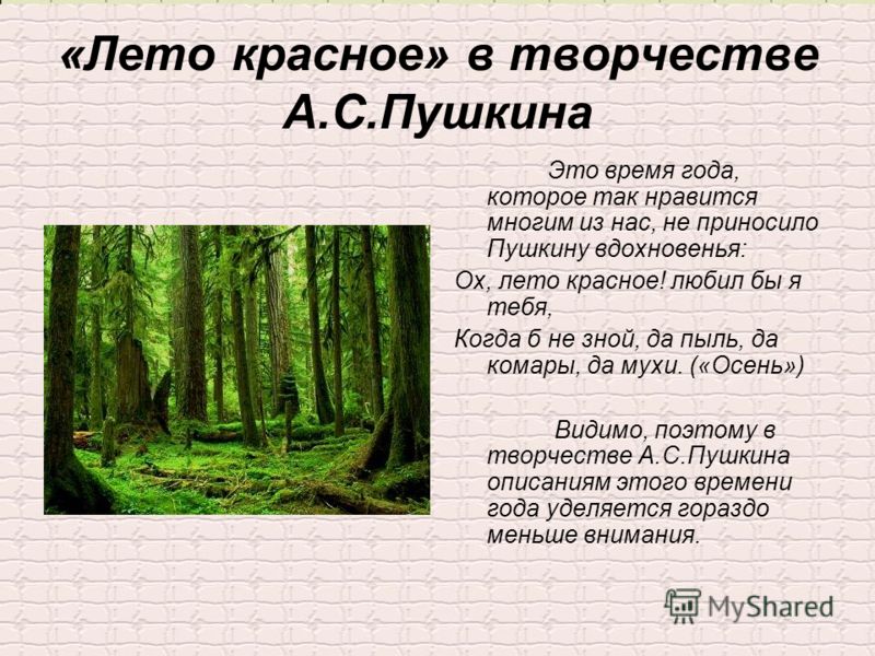 Летний стих пушкина Летний стих пушкина