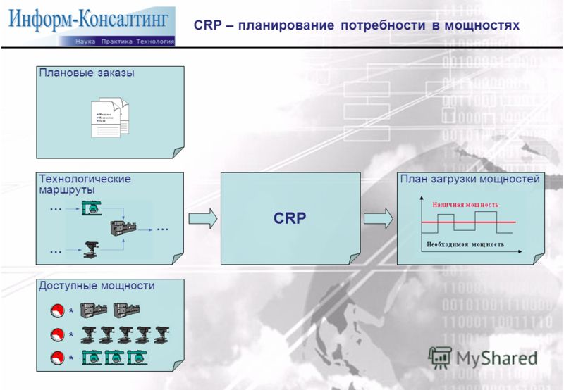 Заказать фиалки по каталогам