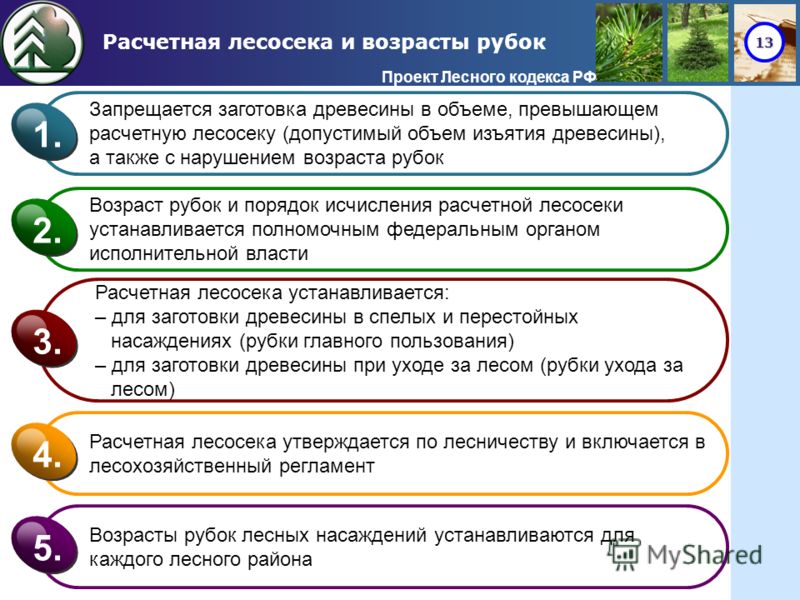 Рубки ухода основные положения Рубки ухода основные положения