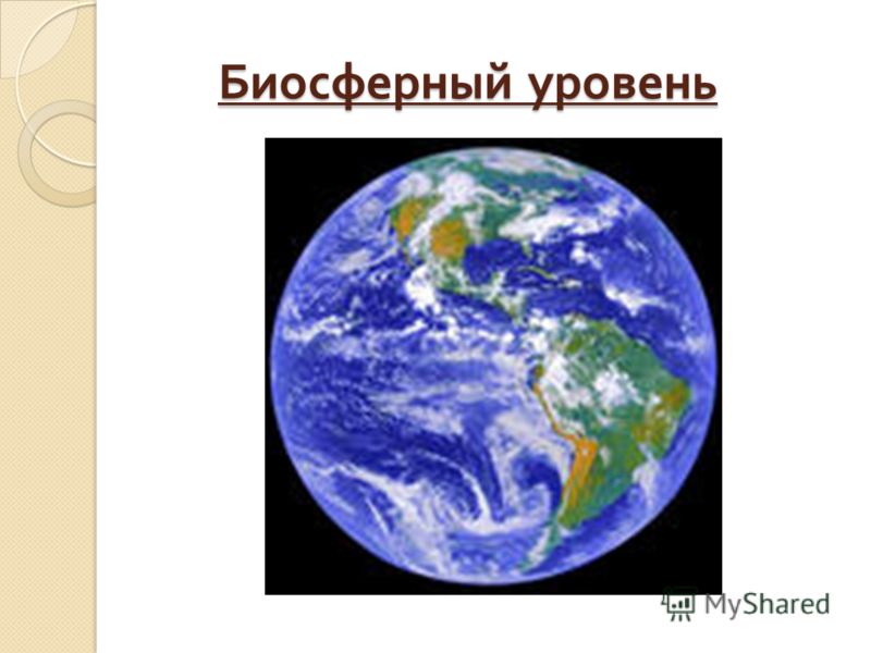 Молекулярный уровень 9 класс тест в картинках