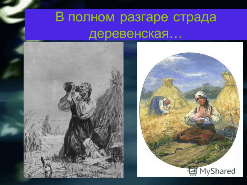 Стих некрасова в полном разгаре страда деревенская Стих некрасова в полном разгаре страда деревенская