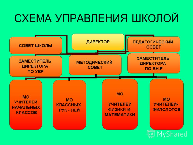 Фото На Документы Схема