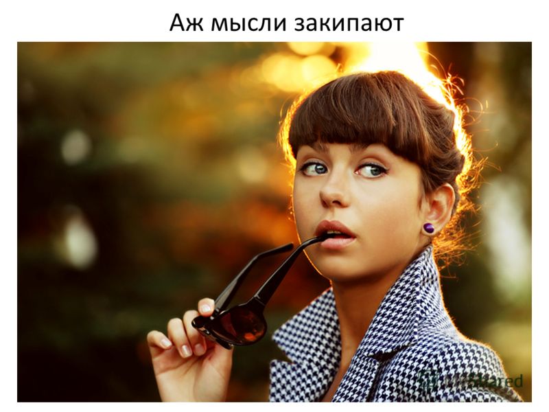 Выбираем горшки, поддоны, плошки для комнатных 7 Выбираем горшки, поддоны, плошки для комнатных 48