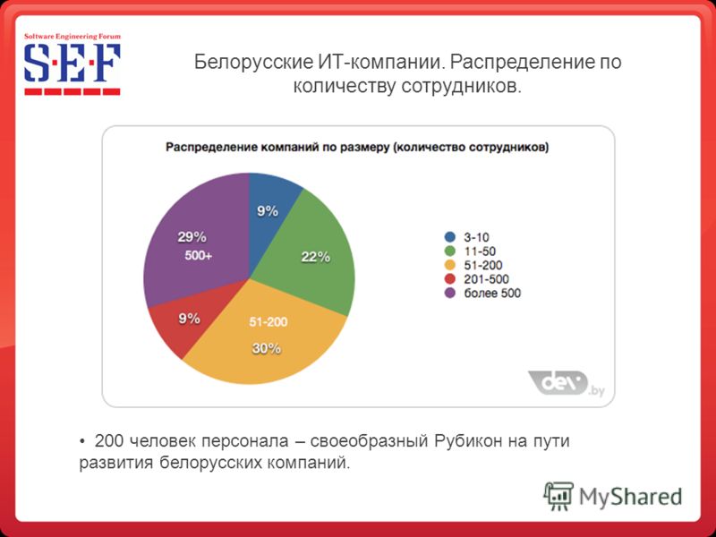 Белорусские ИТ-компании. Распределение по количеству сотрудников. 200 человек персонала – своеобразный Рубикон на пути развития белорусских компаний.
