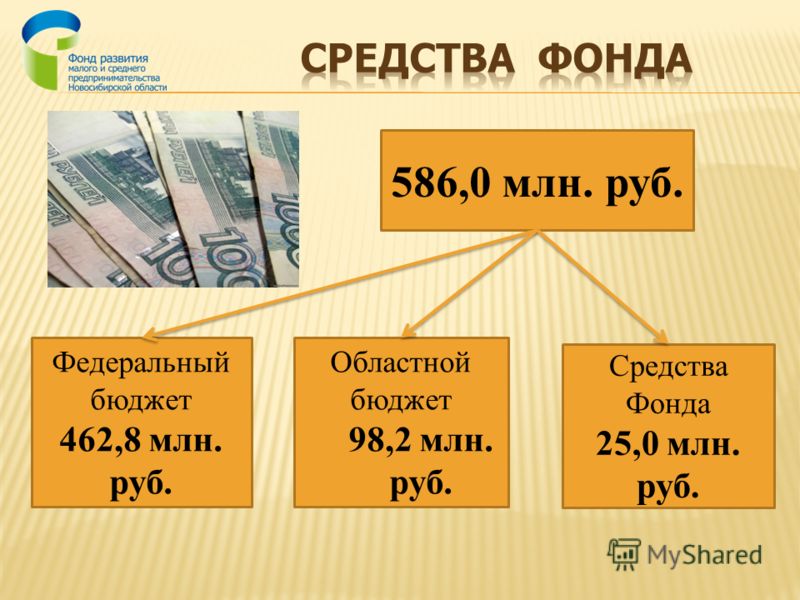 586,0 млн. руб. Федеральный бюджет 462,8 млн. руб. Областной бюджет 98,2 млн. руб. Средства Фонда 25,0 млн. руб.