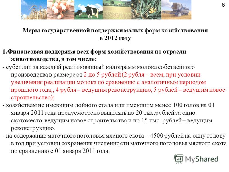 Меры государственной поддержки малых форм хозяйствования в 2012 году 1.Финансовая поддержка всех форм хозяйствования по отрасли животноводства, в том числе: - субсидии за каждый реализованный килограмм молока собственного производства в размере от 2 