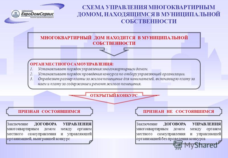 Организация конкурса как управление Организация конкурса как управление