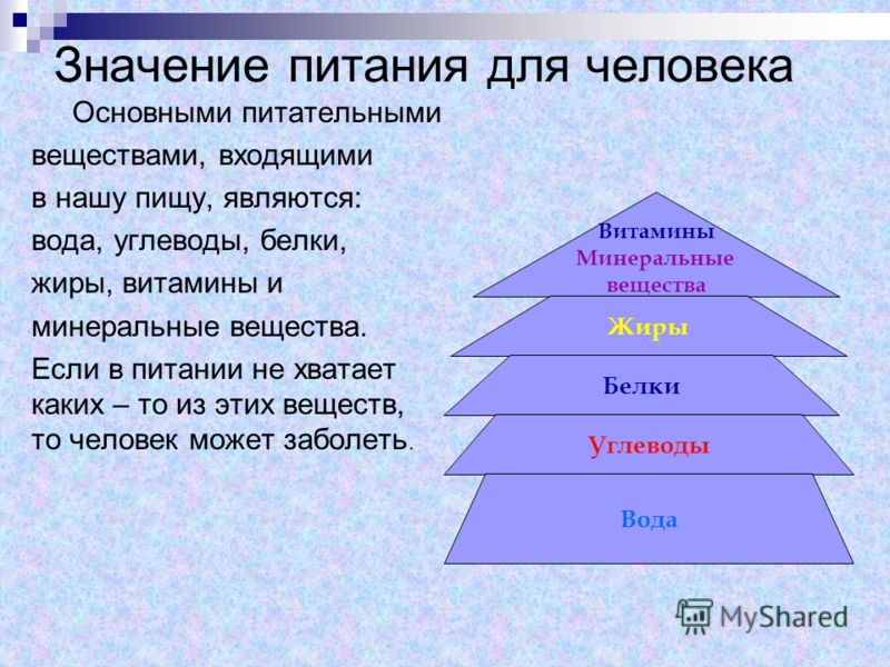 Значение питания в жизни человека сбо 5 класс презентация