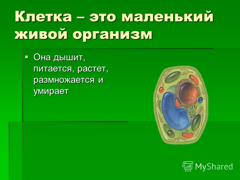 Берет связанный от макушки спицами. Обсуждение на LiveInternet LiveInternet