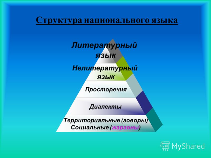 Словарный состав языка - Русский язык без проблем