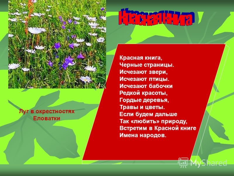 Пример растений с красной страницы красной книги
