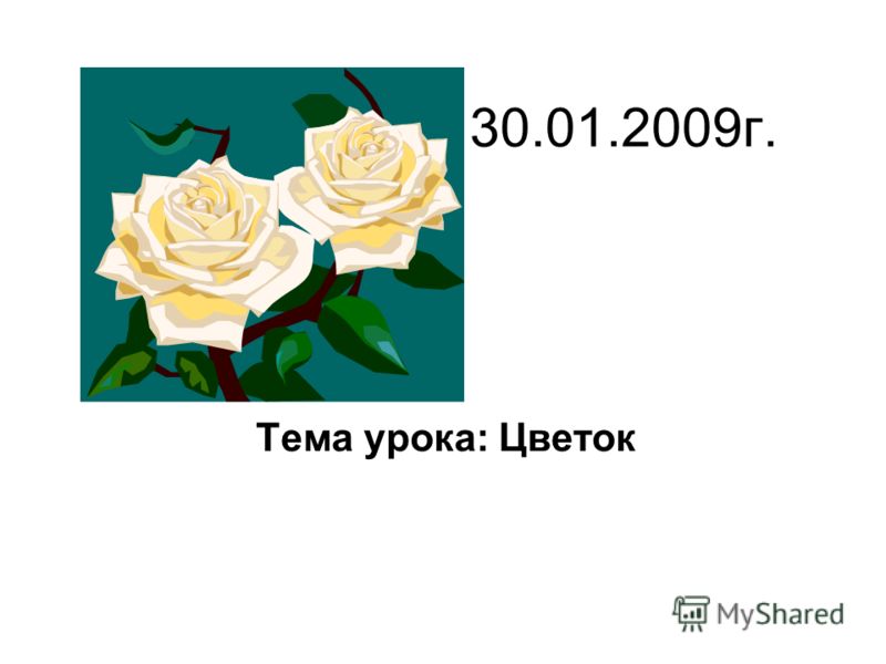Пыльник это цветок Пыльник это цветок
