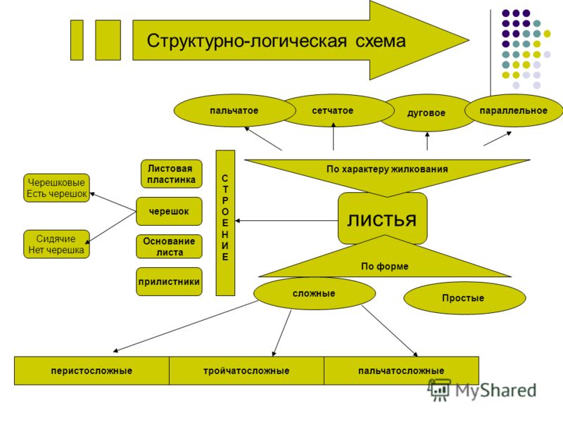 структурно логическая схема понятие