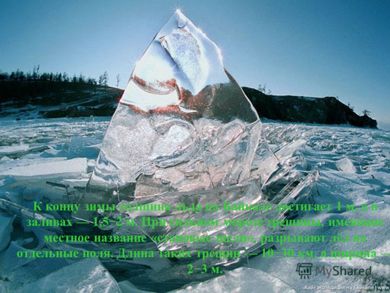 К концу зимы толщина льда на Байкале достигает 1 м, а в заливах 1,52 м. При сильном морозе трещины, имеющие местное название «становые щели», разрывают лёд на отдельные поля. Длина таких трещин 1030 км, а ширина 23 м.