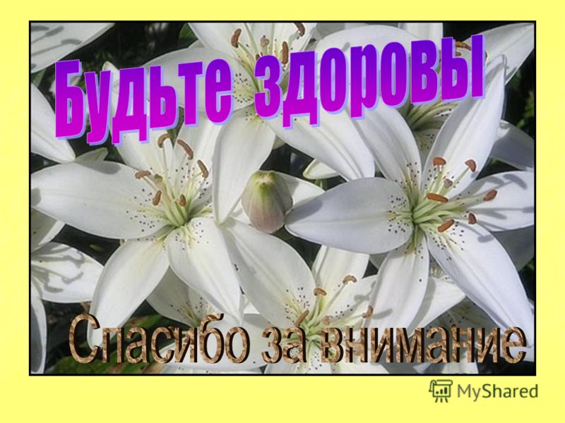 раздумья о здоровье. xxi век скачать
