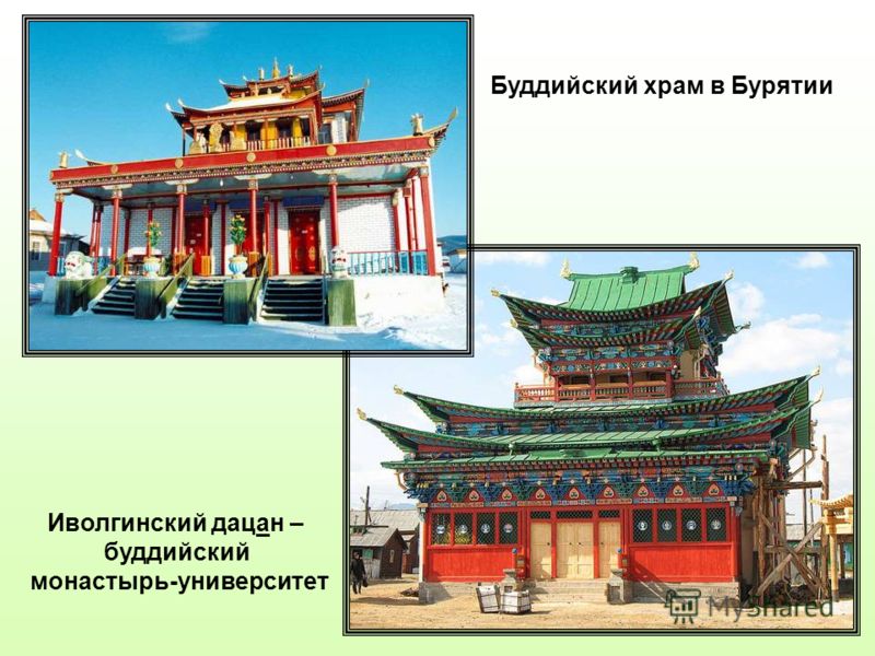 Лотос уход за ними Лотос уход за ними