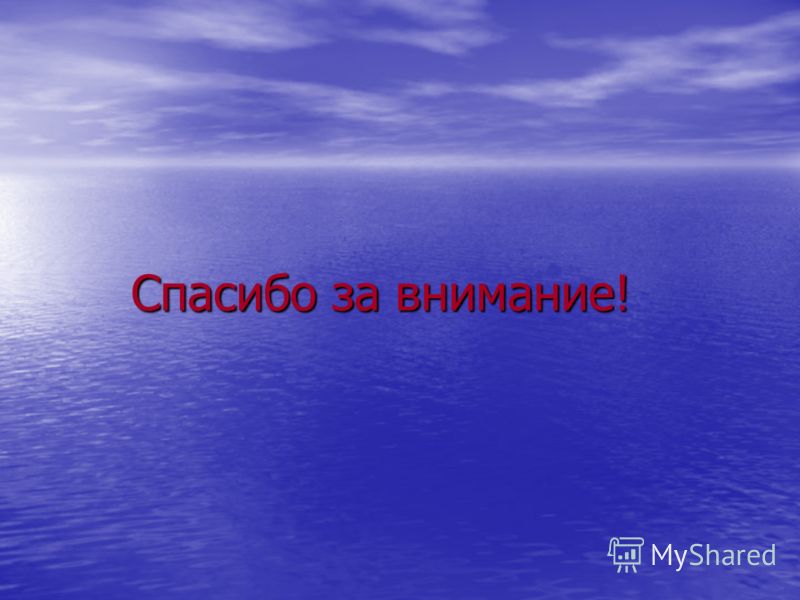 Что за цветок растет без земли Что за цветок растет без земли