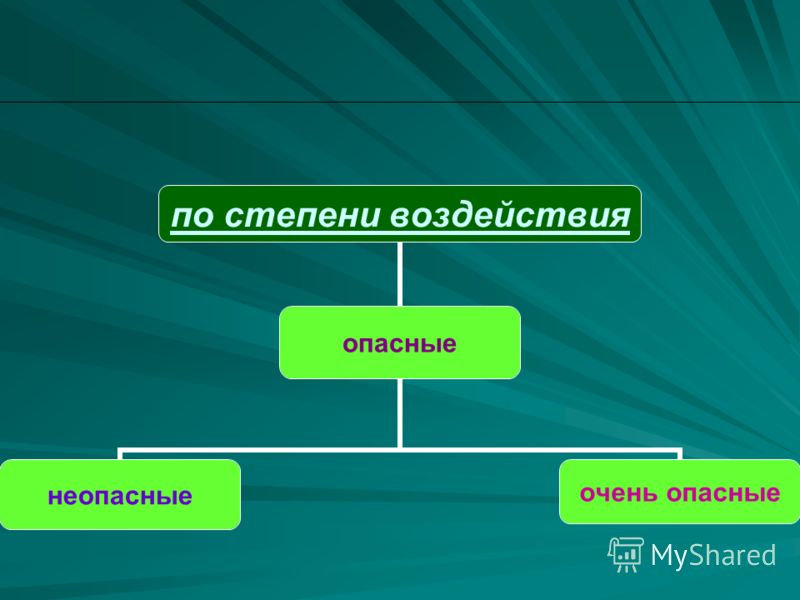 Индивидуальный проект на тему вирусы Индивидуальный проект на тему компьютерные вирусы