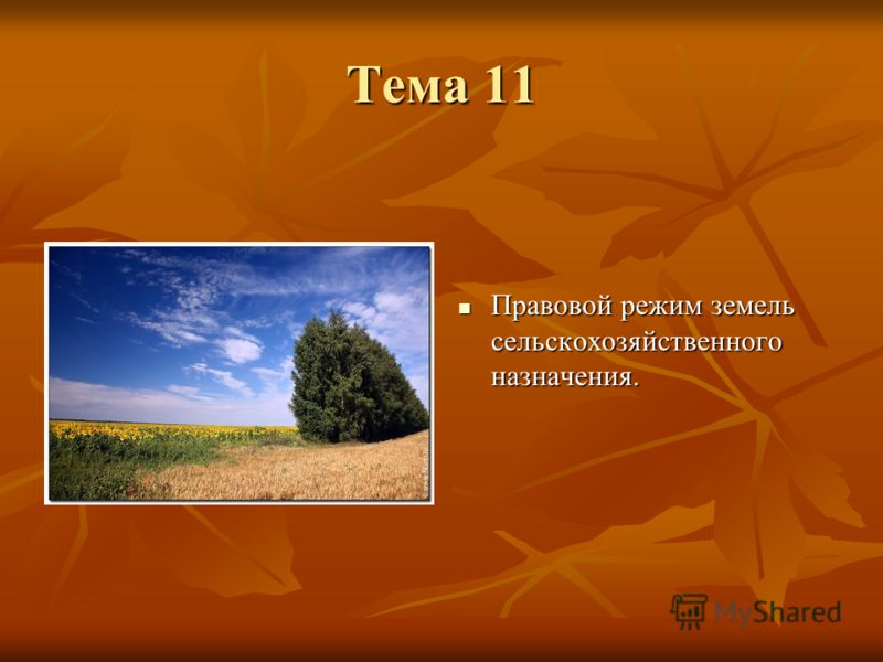Особенности режима земель сельскохозяйственного назначения Здания, строения и сооружения: в чём отличие?