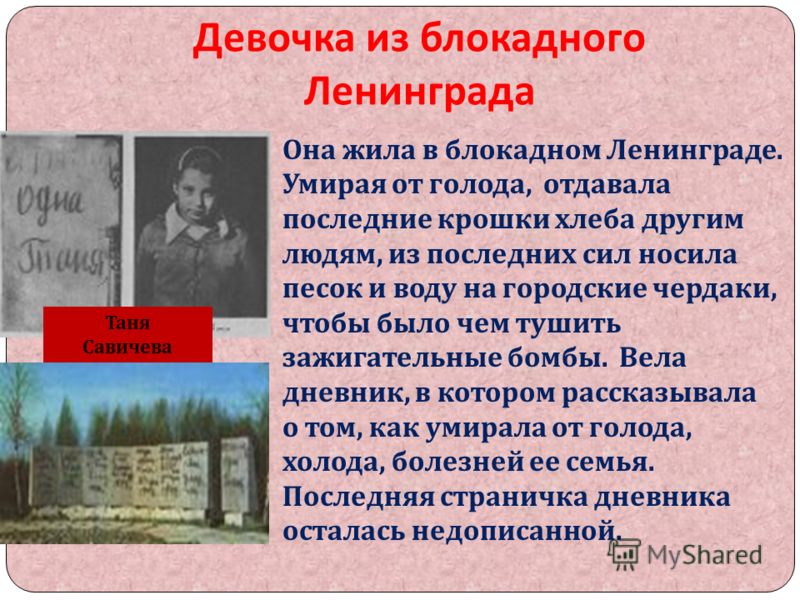 Шура день за днём Шура день за днём