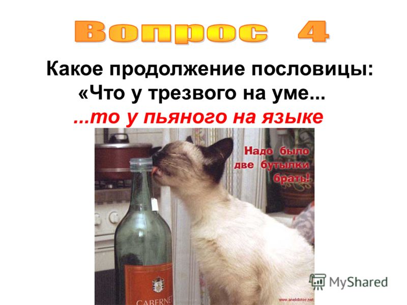 Novoye_Russkoye_Slovo_100_Years_ by Cached