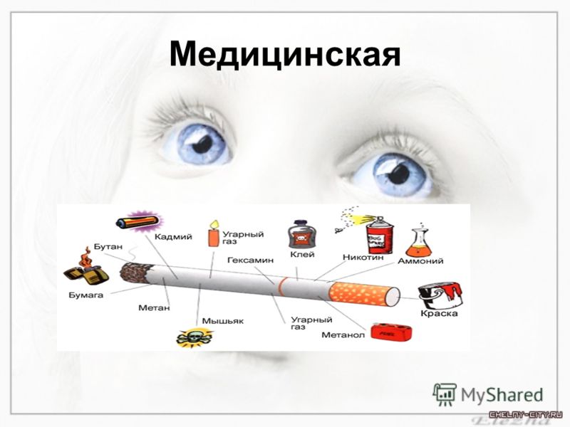 Какие органы и где находятся у человека фото 27