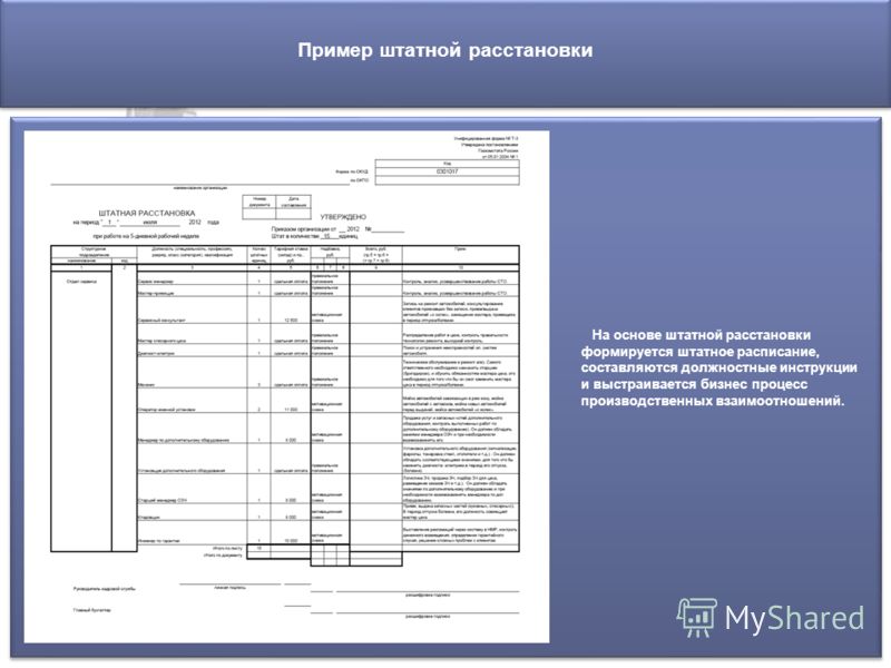 Что такое штатная одежда Что такое штатная одежда