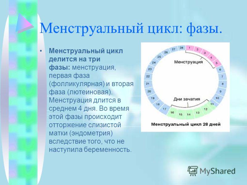 На какой день цикла прыщи На какой день цикла прыщи