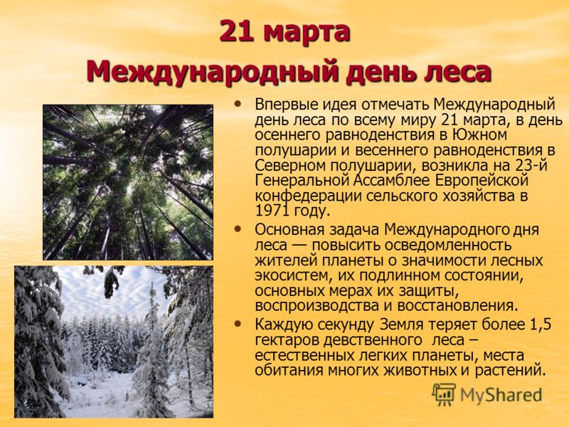 Сценарий к дню леса для школьников Сценарий к дню леса для школьников