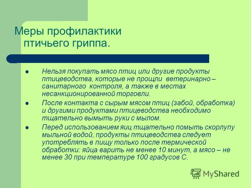 Как ухаживать за домашней птицей – кормление и вакцинация Как ухаживать за домашней птицей – кормление и вакцинация