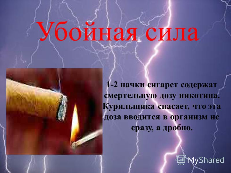 Убойная сила 1-2 пачки сигарет содержат смертельную дозу никотина. Курильщика спасает, что эта доза вводится в организм не сразу, а дробно.
