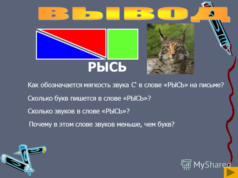 Звуковая схема слова рысь