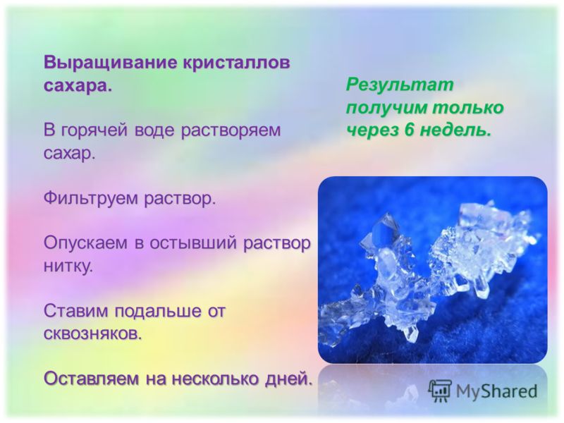 Как вырастить кристалл сахара в домашних условиях Как вырастить кристалл сахара в домашних условиях