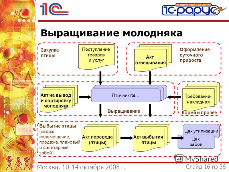 Животные на выращивании и откорме Животные на выращивании и откорме