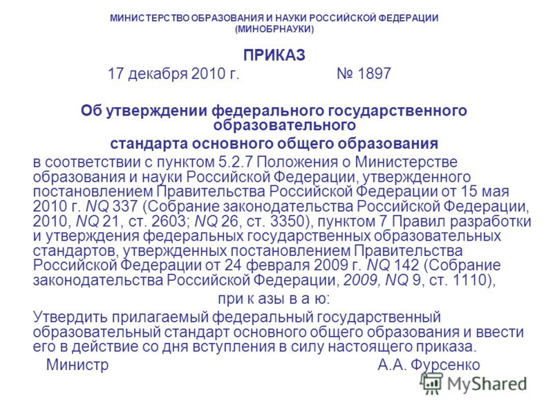 Как проверить кожу на натуральность: все способы Как избавиться от муравьев