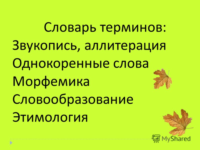 Повторение материала изученного в 5-7 классах ответы на текст