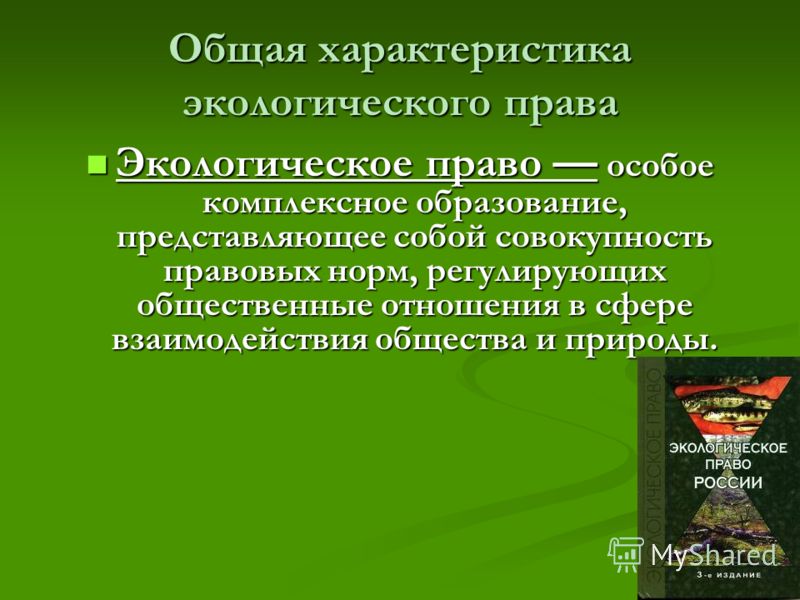 Курсовая работа: Понятие и система экологического права