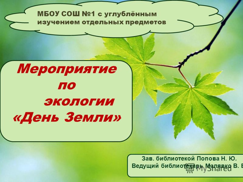 Домашняя бегония : уход в домашних условиях, посадка и размножение, виды Вязаные кофты крючком коллекция пользователя Александр в