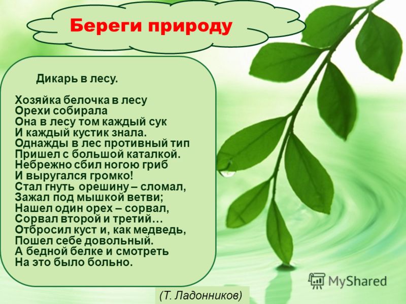 Пожелания хорошего дня в стихах Письмо Татьяны к Онегину, текст читать полностью