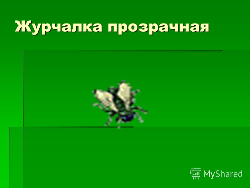 Конкурс подснежник Конкурс подснежник