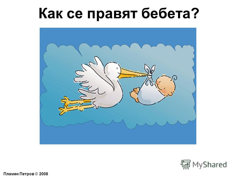 Как се правят бебета? Пламен Петров © 2008