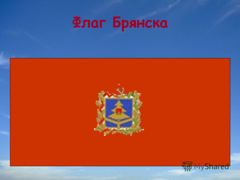 Флаг Брянска Фото