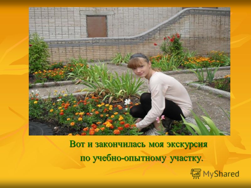 Поделки на пришкольном участке Поделки на пришкольном участке