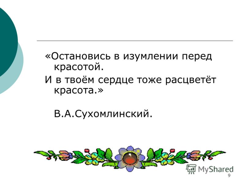 Остановись перед красотой Остановись перед красотой